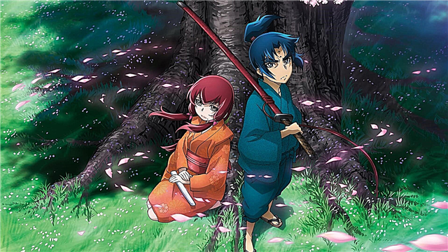 Anime v žánru romantiky a fantasy - seznam nejlepších: hodnocení, popis zápletky