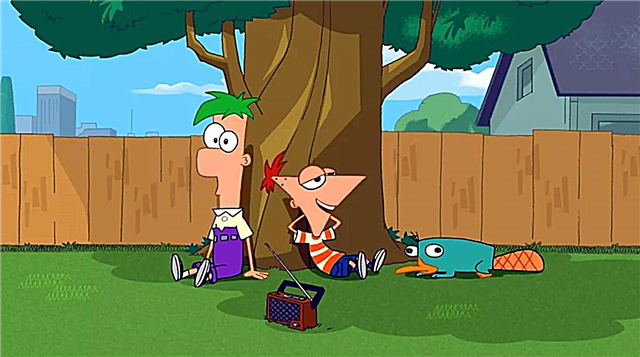 Phineas and Ferb: Candice vs the Universe - cizgi filmi 2020: nümayiş tarixi, aktyorlar, treyler, süjet